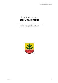 CHVOJENEC - Návrh