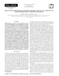 Drilling Predation Intensity and Feeding Preferences by Nucella (Muricidae) on Limpets Inferred from a Dead-Shell Assemblage