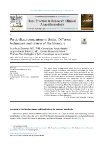 Fascia Iliaca Compartment Blocks: Different Techniques and Review of the Literature