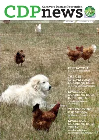 THE EVOLVING USE of Lgds LIVESTOCK GUARDING