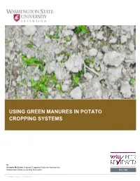 Using Green Manures in Potato Cropping Systems