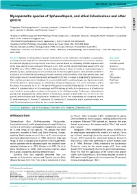 AR TICLE Mycoparasitic Species of Sphaerellopsis, and Allied Lichenicolous and Other Genera