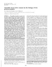 Assembly of an Active Enzyme by the Linkage of Two Protein Modules