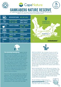 Gamkaberg Visitor Guide