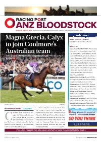 Magna Grecia, Calyx to Join Coolmore's Australian Team