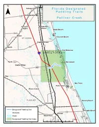 Pellicer Creek Paddling Guide