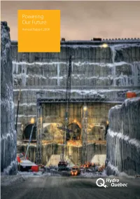 Powering Our Future Annual Annual Report 2008