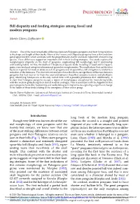 Bill Disparity and Feeding Strategies Among Fossil and Modern Penguins