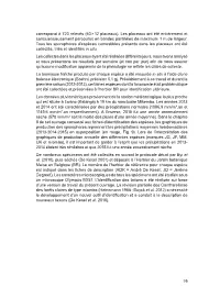 Les Placeaux Ont Été Entièrement Et Consciencieusement Parcourus En Bandes Parallèles De Maximum 1 M De Largeur