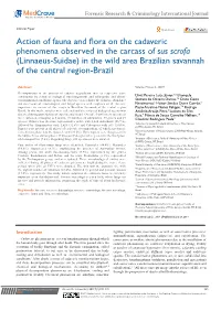Action of Fauna and Flora on the Cadaveric Phenomena