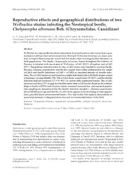 Chrysomelidae, Cassidinae)