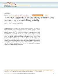 Molecular Determinant of the Effects of Hydrostatic Pressure on Protein Folding Stability