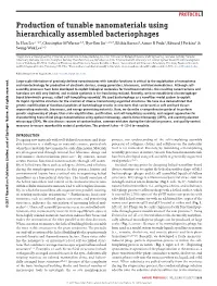 Production of Tunable Nanomaterials Using Hierarchically Assembled