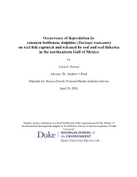 Occurrence of Depredation by Common Bottlenose Dolphins