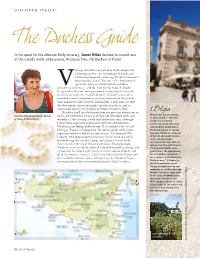 The Duchess Guide
