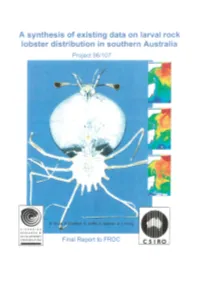 A Synthesis of Existing Data on Larval Rock Lobster Distribution in Southern Australia Project 96/107