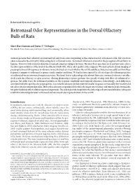 Retronasal Odor Representations in the Dorsal Olfactory Bulb of Rats