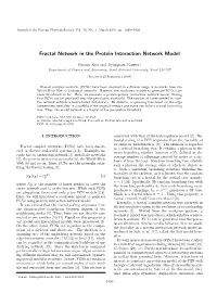 Fractal Network in the Protein Interaction Network Model