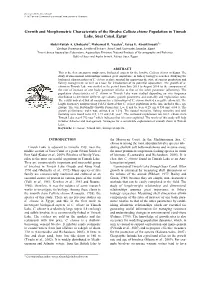 Growth and Morphometric Characteristic of the Bivalve Callista Chione Population in Timsah Lake, Suez Canal, Egypt