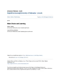 Mate Choice and Learning
