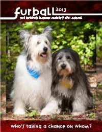2013 Fur Ball Program