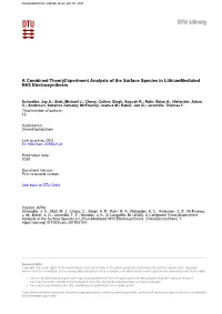 A Combined Theoryexperiment Analysis of the Surface Species in Lithiummediated NH3 Electrosynthesis