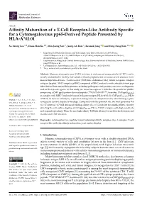 Affinity Maturation of a T-Cell Receptor-Like Antibody Specific for A