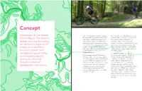 Concept Page 12/13