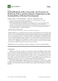 Global Biofuels at the Crossroads: an Overview of Technical, Policy, and Investment Complexities in the Sustainability of Biofuel Development