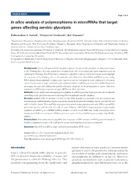 In Silico Analysis of Polymorphisms in Micrornas That Target Genes Affecting Aerobic Glycolysis