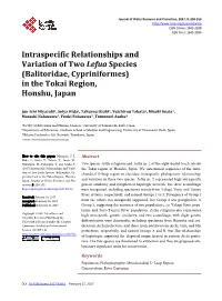 Intraspecific Relationships and Variation of Two Lefua Species (Balitoridae, Cypriniformes) in the Tokai Region, Honshu, Japan