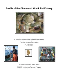 Profile of the Channeled Whelk Pot Fishery