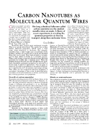 Carbon Nanotubes As Molecular Quantum Wires