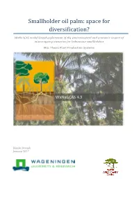 Smallholder Oil Palm: Space for Diversification?