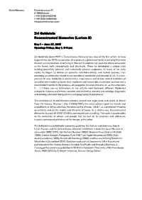 Zvi Goldstein Reconstructed Memories (Lariam B)