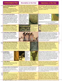 Description of the Find