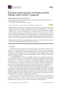 Formation and Recognition of UV-Induced DNA Damage Within Genome Complexity