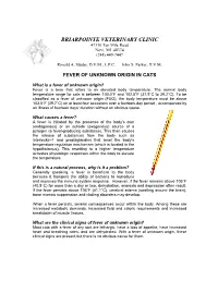 Fever of Unknown Origin in Cats