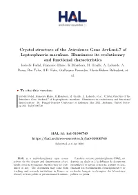 Crystal Structure of the Avirulence Gene Avrlm4-7 of Leptosphaeria Maculans. Illuminates Its Evolutionary and Functional Charact