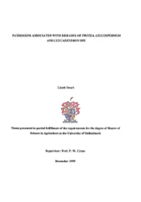 Pathogens Associated with Diseases. of Protea, Leucospermum and Leucadendron Spp