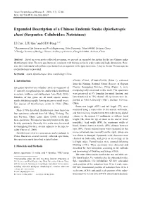 Expanded Description of a Chinese Endemic Snake Opisthotropis Cheni (Serpentes: Colubridae: Natricinae)
