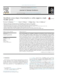 Mandibular Ramus Shape of Australopithecus Sediba Suggests a Single Variable Species