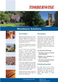 Woodworm and Beetle Infestation Solutions from Timberwise