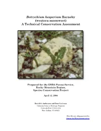 Botrychium Hesperium Barneby (Western Moonwort) a Technical Conservation Assessment