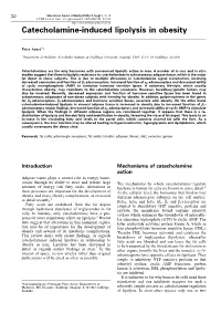 Catecholamine-Induced Lipolysis in Obesity