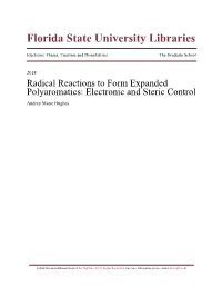 FSU ETD Template