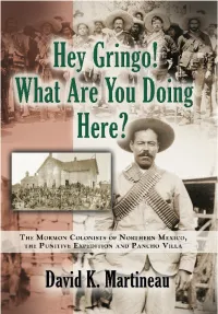 Hey Gringo! What Are You Doing Here?