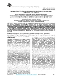 Re-Description of Tenuitarsus Orientalis Kevan, 1959