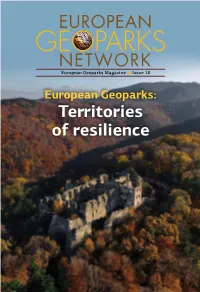 Territories of Resilience