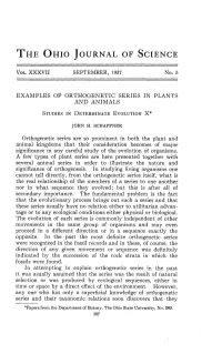 Examples of Orthogenetic Series in Plants and Animals : Studies In